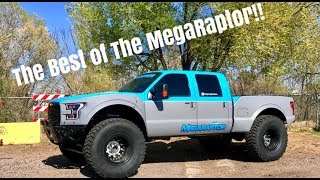 The Best of the MegaRaptor