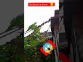 secret revealed 😱 kaise banaya jaal trellis bss _40₹😱😱😱 inta sasta🔥🔥🔥 wow!!!!🎉🎉