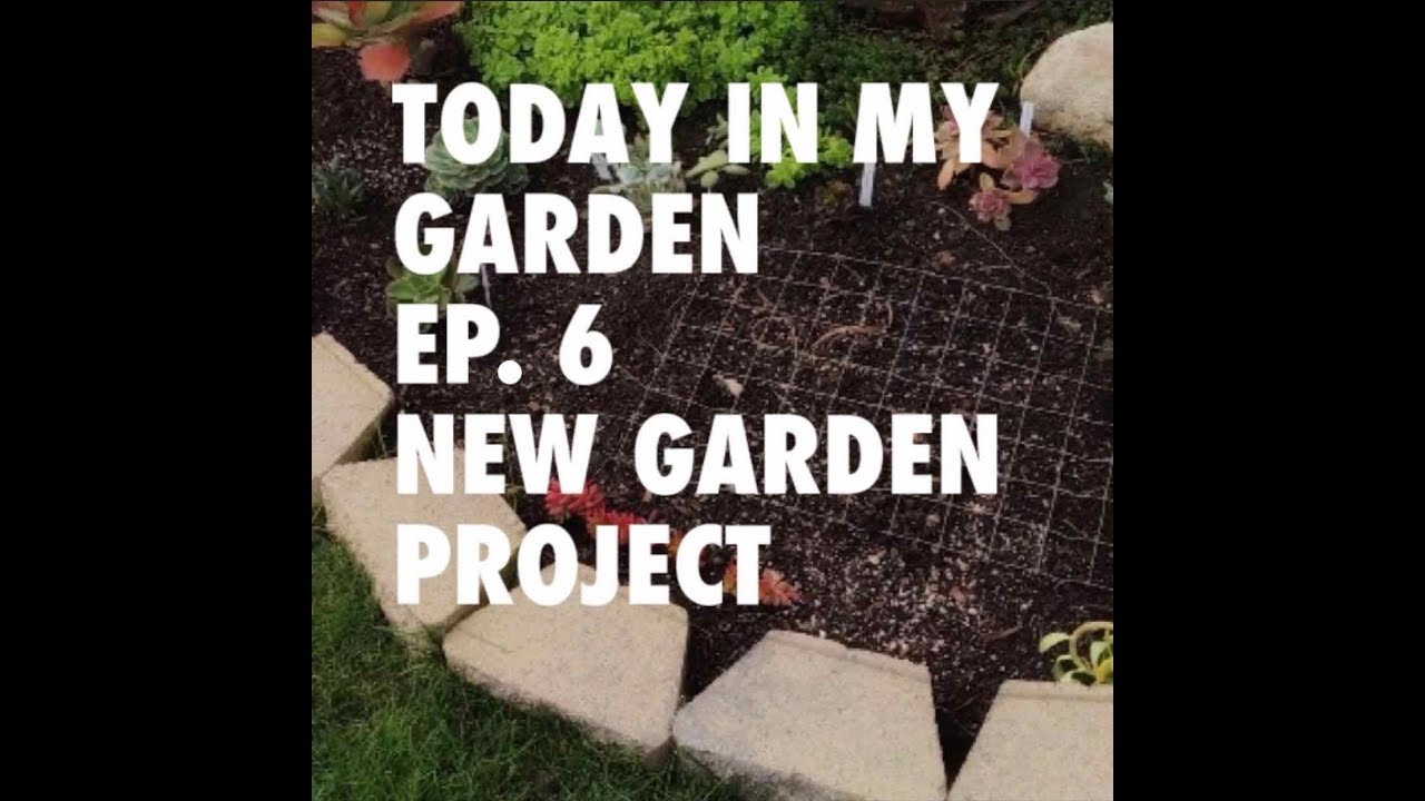 TODAY IN MY GARDEN EP  6   NEW GARDEN PROJECT