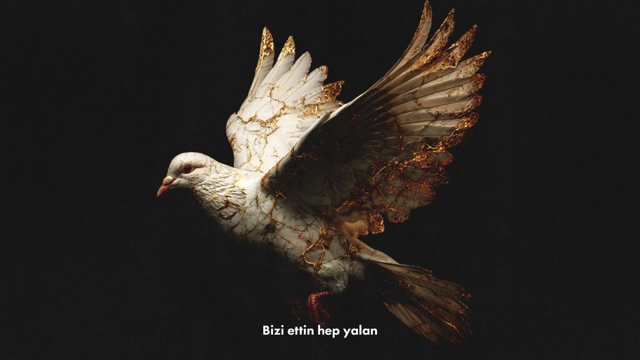 Sayyohni aldab seks videosi suratga olishdi. Chubby qizlar va porno