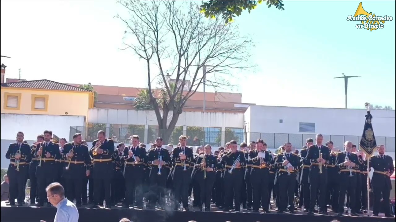 Gitano de Sevilla - AM Virgen de los Reyes en 