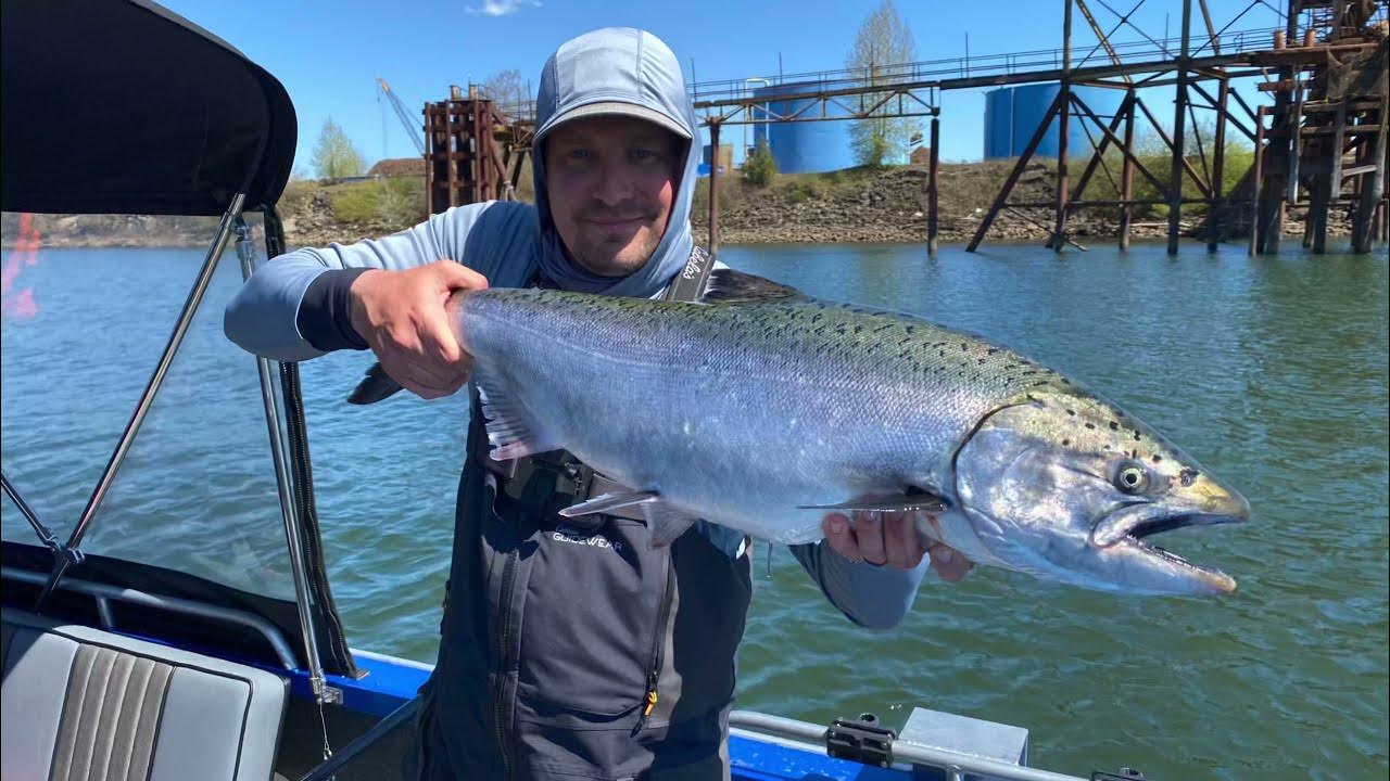 Big BRIGHT Early April Willamette River Spring CHINOOK Salmon Fishing // Head Of Multnomah