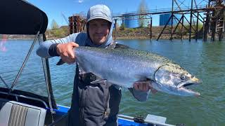 Big BRIGHT Early April Willamette River Spring CHINOOK Salmon Fishing // Head Of Multnomah Channel