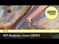 010 - RIP Rodents, and DEMO