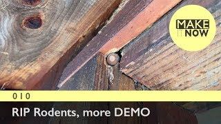 010 - RIP Rodents, and DEMO