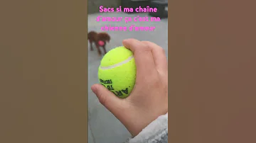 La Meilleure Chaîne Du Monde 