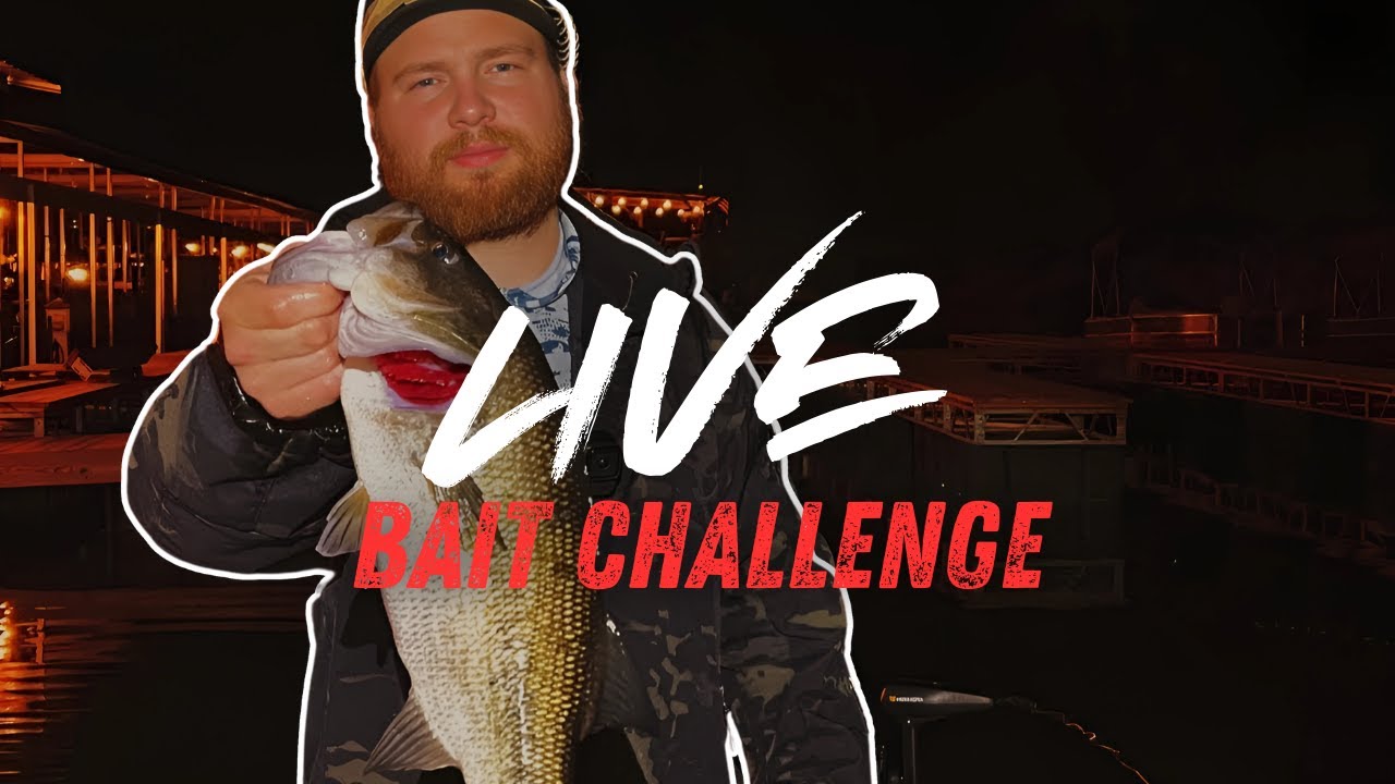 Bass Fishing AT NIGHT out of my BASS TRACKER!!!
