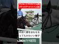【癒し】 顔を合わせて仲良さそうな可愛い福島競馬場の誘導馬・サンセットクラウドくんとブラックアーメットくん(2026/7/12) #癒し #誘導馬 #福島競馬場 #競馬 #shorts