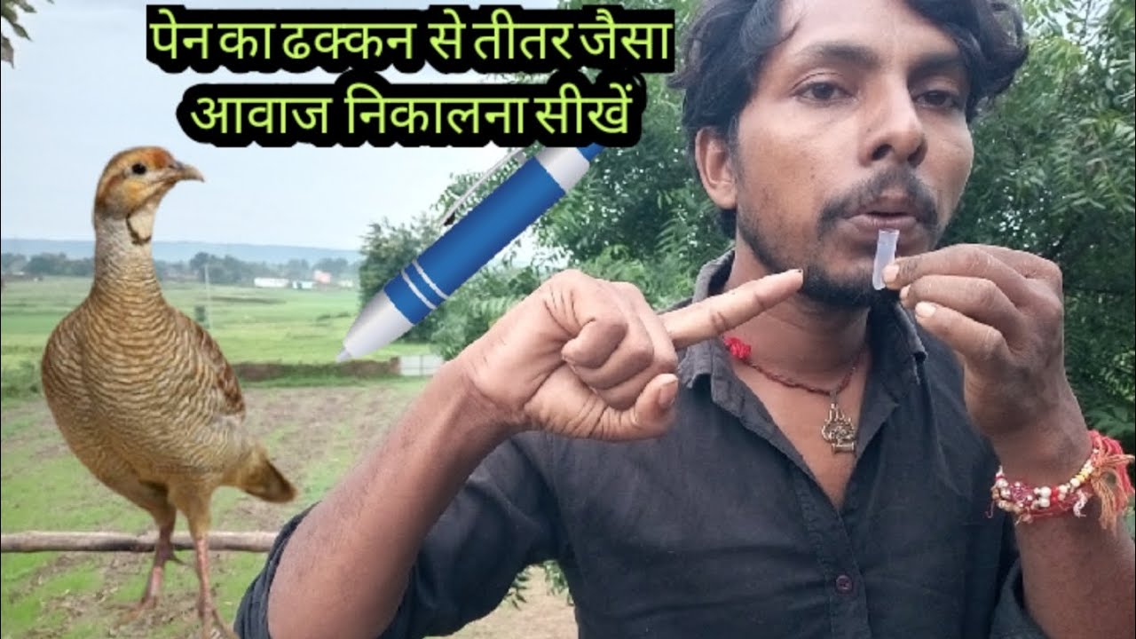 पेन का ढक्कन से तीतर जैसा आवाज निकालना सीखें pen ka dakan se teetar jaisa awaaj nikalana sikhe