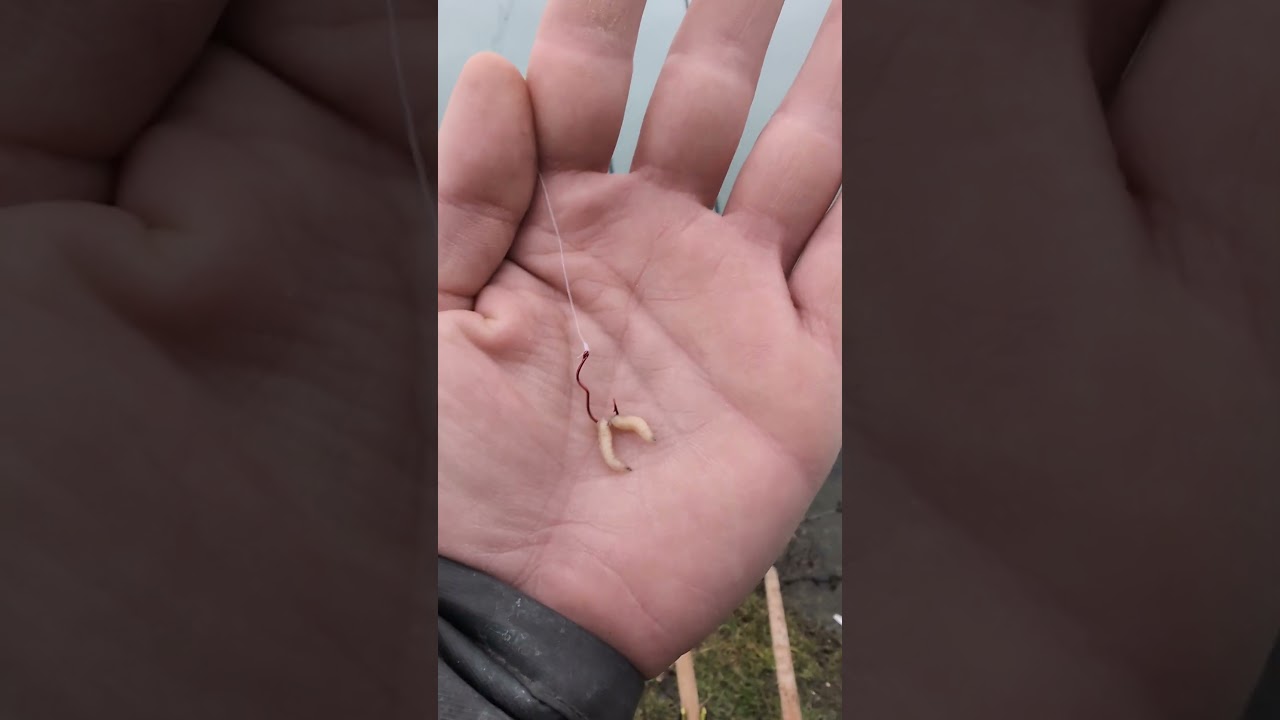 Крючки для зимней рыбалки в корзине! #фидер #рыбалка