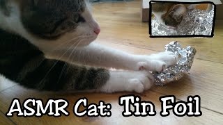 Tiny Tingles || ASMR Cat: Tin Foil and eating [no talking] [licking, crunching, playing] by ASMR Cat Sounds 792 views 7 years ago 3 minutes, 5 seconds