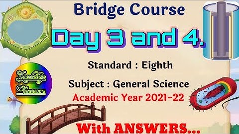 Bridge Course Class 8th Science Activity 3 and 4 Answers || Setu Abhyas