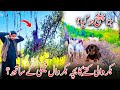 Bakrwali Dog with the Bakwari family?|Big Challange vlog|Dadyal ajk|Israr ahmed official