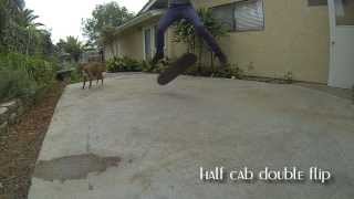 Tricks 66-70 Halfcab Double Flip, Pressure Flip, Switch Shove It, Switch Varial Flip, Fakie Fs Flip