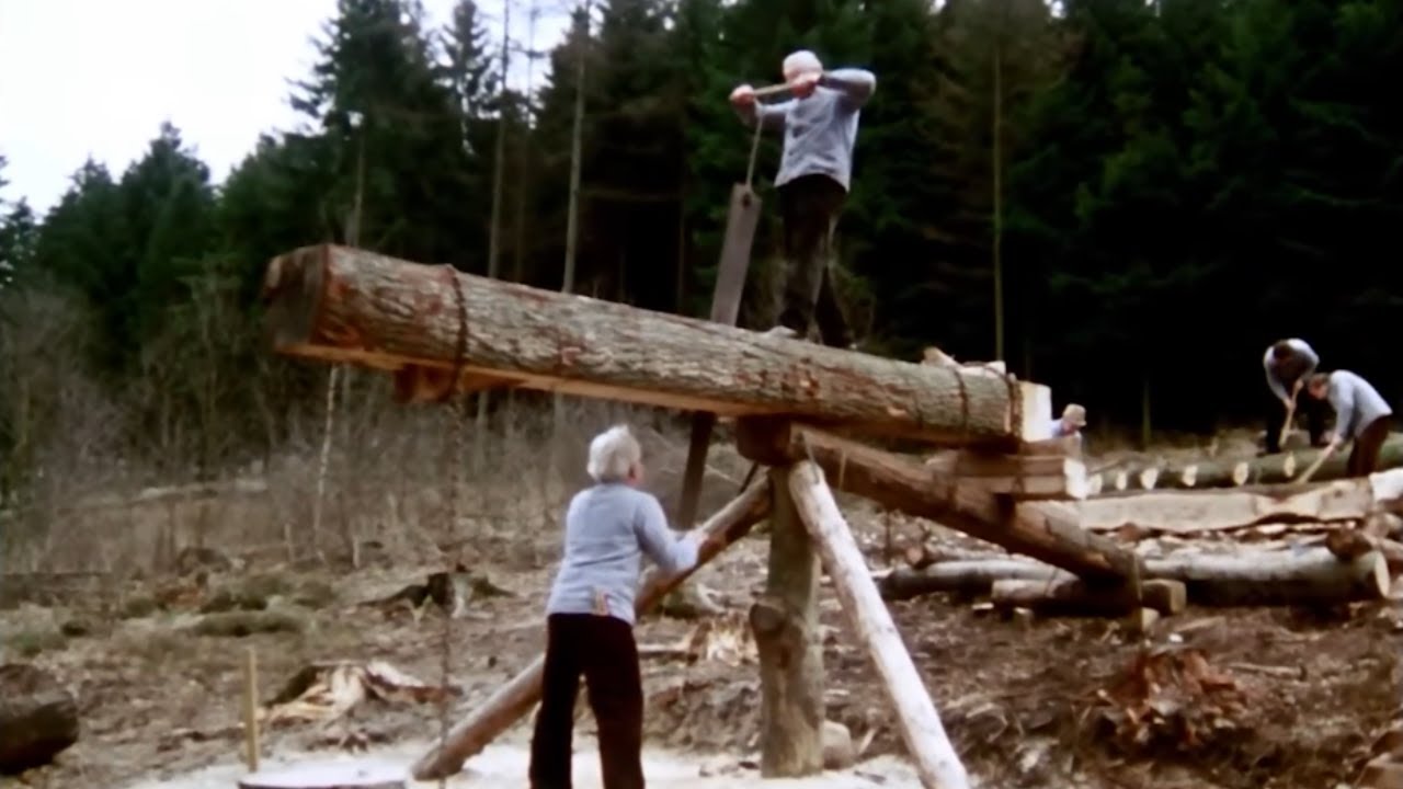 Oak Log to Planks: Traditional Diel Sawing