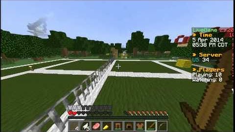 hacker on mcsg survival games
