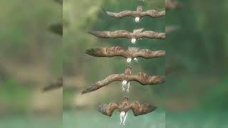 Alamomin dasuke nuna tabbas akwai Allah daga Mai ASHAFA #duet 