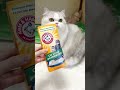 This One Trick Made My Litter Box Smell So Much Better! 😻🌿 ニオイ対策におすすめ！ #catlitter #catlover #petcare