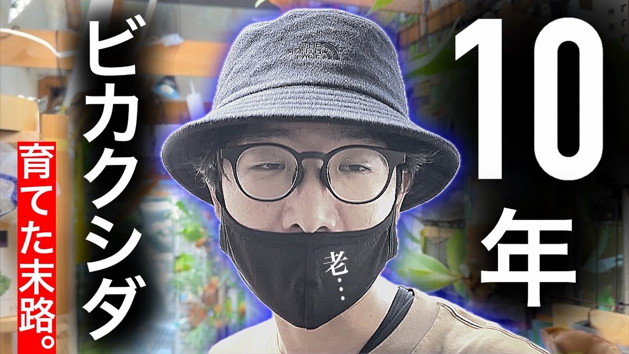 10年やっても失敗する…ビカクシダ栽培の現実【老】