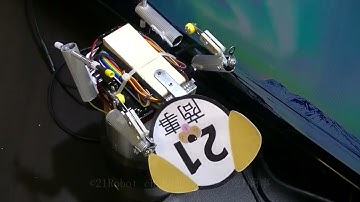 21Robot ch. 俺の犬ご紹介（ラズパイPythonプログラム）
