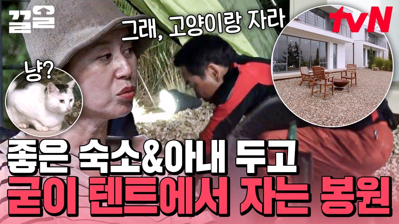 이게 따로 또 같이의 묘미?!ㅋㅋ 이봉원이 못마땅한 봉미선! 고양이 입장도 들어봐야 한다고 봅니다만..😅 | 따로또같이