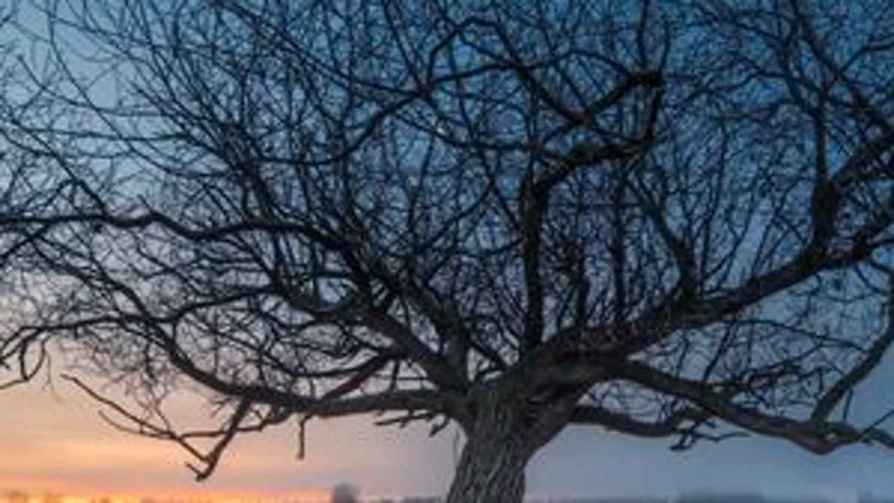 一曲《Ömir sür qalma elden》人生短暂 #戈壁明珠石河子 #石河子幸福年 #网络中国节兵团幸福年 #哈萨克 #音乐