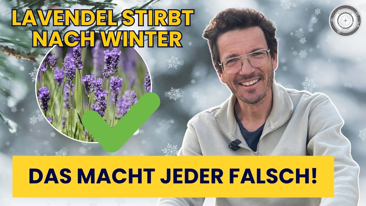 Die Fehler und wie du sie vermeidest!