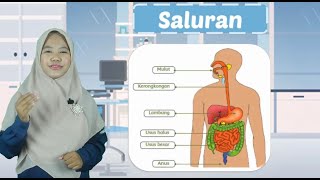 KELAS 5 - TEMA 3 - MAKANAN SEHAT - SISTEM PENCERNAAN MANUSIA