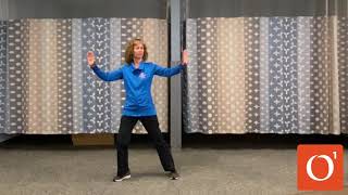 Tai Chi for Arthritis and Fall Prevention Video