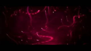 Intro sin texto editable # 1