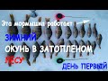 ЗАТОПЛЕННЫЙ ЛЕС, ловля зимнего окуня на мормышку в глухозимье!