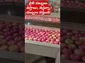 Small Business /Daily ₹3500 income 👌🤓మీ జీవితం మారిపోతుంది 🤩 #newbusinessideas #shorts