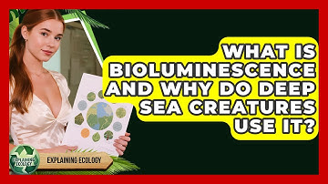 What Is Bioluminescence And Why Do Deep Sea Creatures Use It? - Explaining Ecology