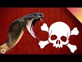 Venomous Animals and Their Impact