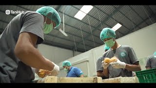 Bagaimana TaniHub Menjaga Kebaikan Buah dan Sayur dari Petani? screenshot 3