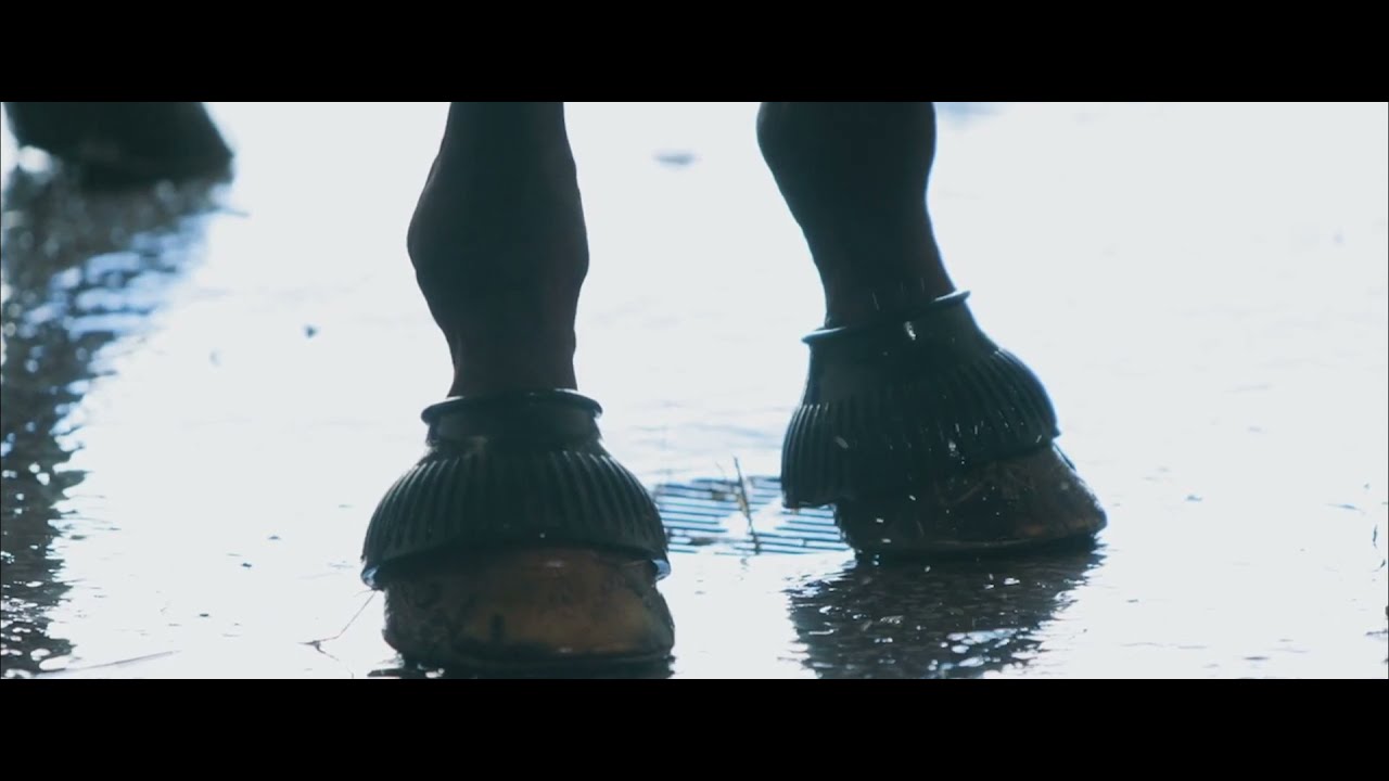 Demo Reel | Unspoken Art