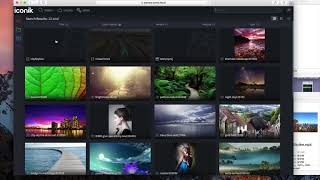 Iconik in a SAN Environment with Premiere Pro