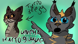 картинка: НАСТОЯЩИЕ ИМЕНА КОТОВ ВОИТЕЛЕЙ||КРИВОЙ ПЕРЕВОД?
