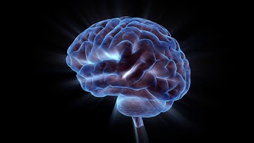 Synesthesia vs. Psychological Essentialism | PSYC 2145 Video 3