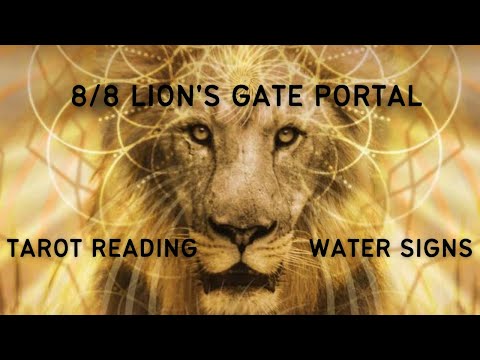 8/8 Lion's Gate Portal | Tarot Reading | 8 August 2022 | WATER SIGNS | Cancer Scorpio Pisces