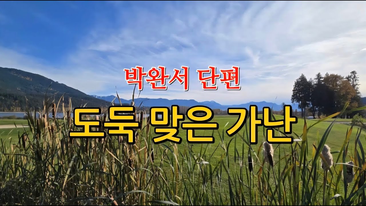 도둑 맞은 가난/박완서 단편/반딧불이