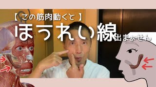 【 ほうれい線 】この筋肉動くとほうれい線出ません！