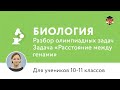 Биология | Подготовка к олимпиаде 2017 | Задача "Расстояние между генами"