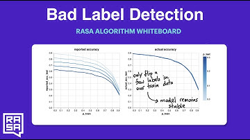 Rasa Algorithm Whiteboard - Bad Label Detection