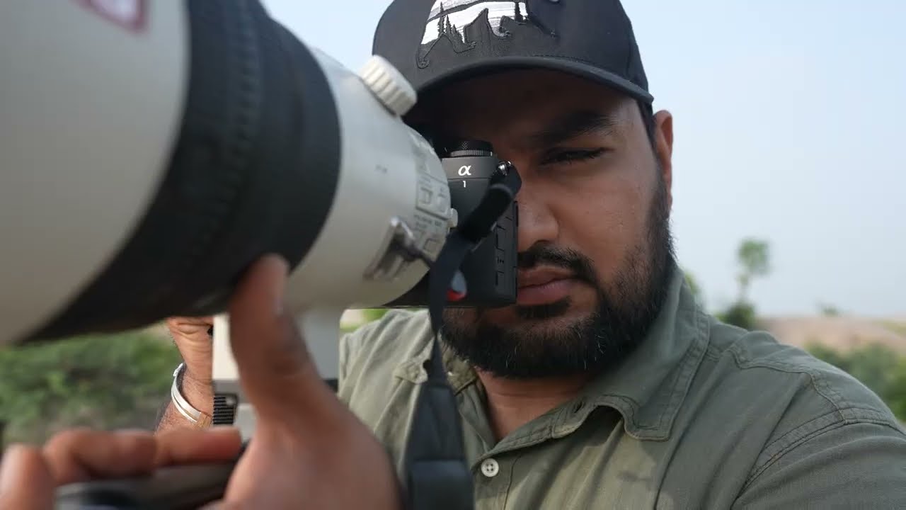 Sony Alpha 1 Mark II Review for Wildlife Filmmakers | Neel Sarkhedi