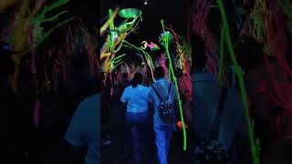 Meow Wolf New Mexico