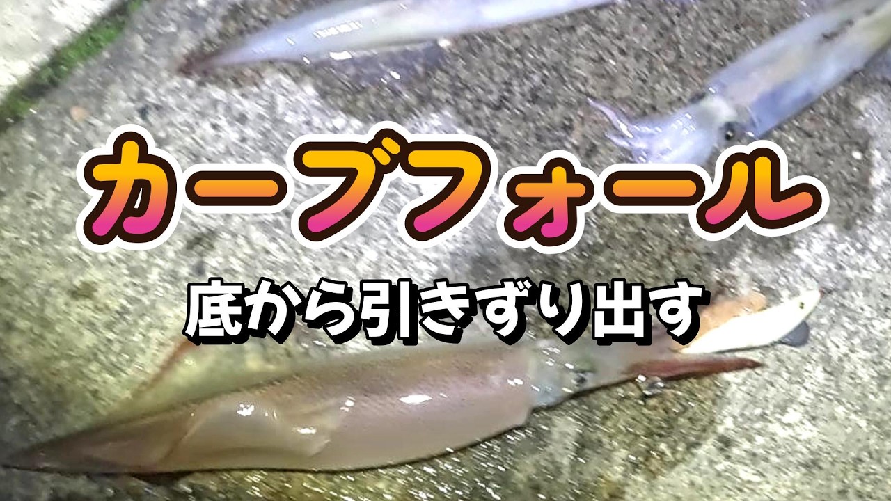 【ヤリイカ釣り】　爆釣の為の狙う場所と激渋でも釣れるエギの使い方