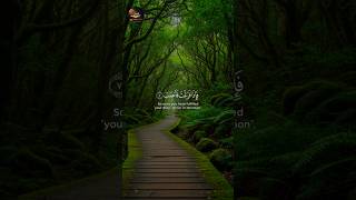 Surah Al-Inshirah: A Beautiful Quran Recitation for Peace and Relief #quran #shorts #viral #love