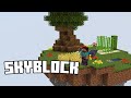 Yeni Sezon: Minecraft Skyblock Sunucusu - SaloryaNetwork
