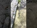 será que machucou?